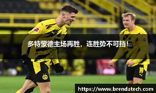 多特蒙德主场再胜，连胜势不可挡！