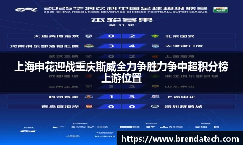 上海申花迎战重庆斯威全力争胜力争中超积分榜上游位置