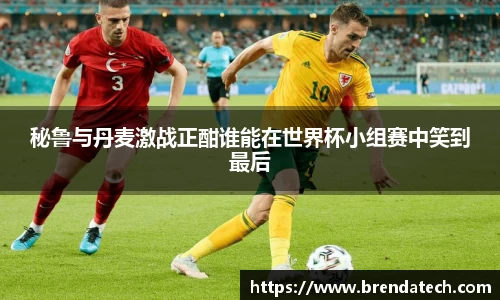 秘鲁与丹麦激战正酣谁能在世界杯小组赛中笑到最后