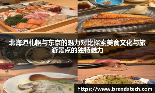 ac米兰体育