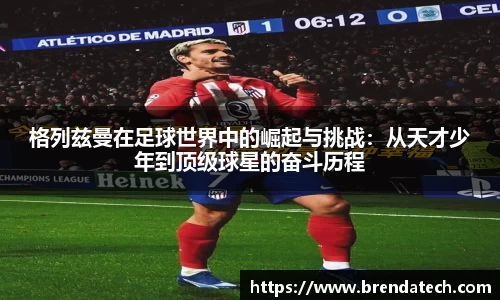 米兰体育