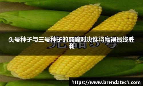 头号种子与三号种子的巅峰对决谁将赢得最终胜利