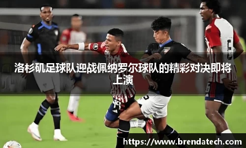 ac米兰体育